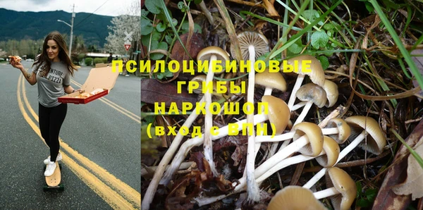 не бодяженный Армянск